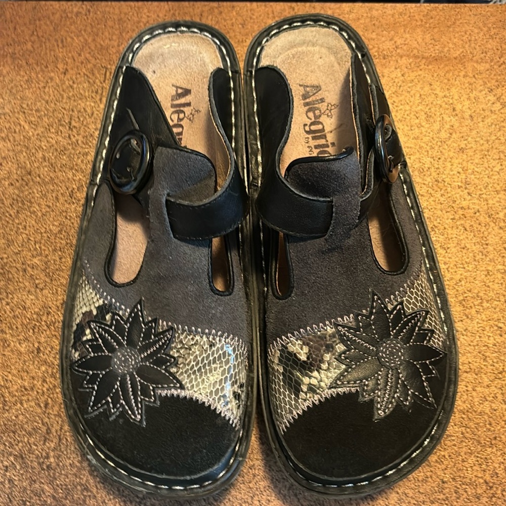 Women’s Algeria Clogs